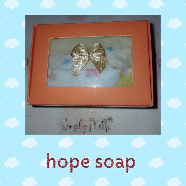 soap| gift box