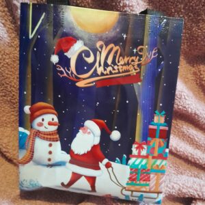 Christmas | gift bags small box size